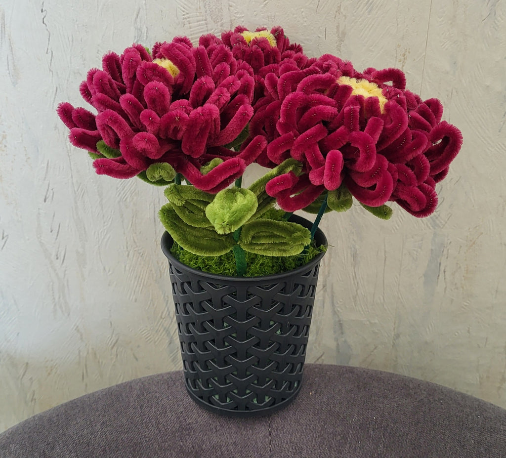 Pot de chrysanthèmes