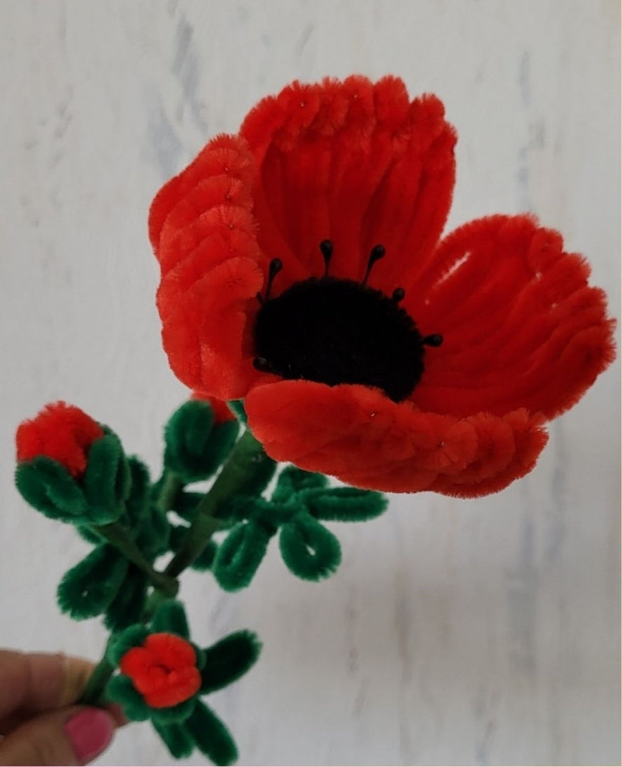 1 tige de coquelicot