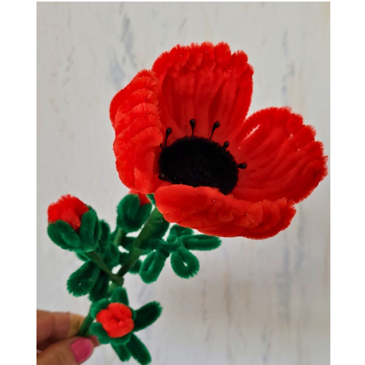 1 tige de coquelicot