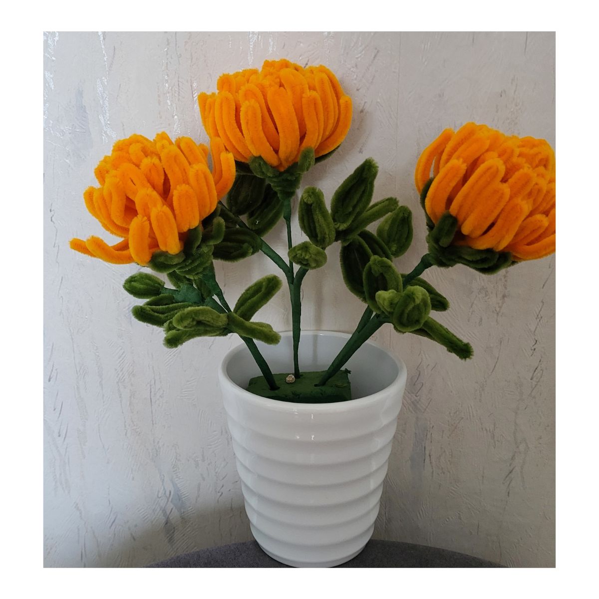 Pot de chrysanthèmes